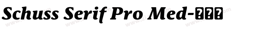 Schuss Serif Pro Med字体转换